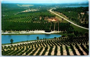 Citrus grove and lakes as seen from the top of the Citrus Tower - Clermont, FL