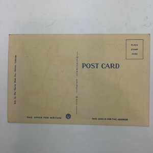 Lot Of 3 Vintage Curt Teich Letter State & City Postcards FL , Brunswick GA , Mt