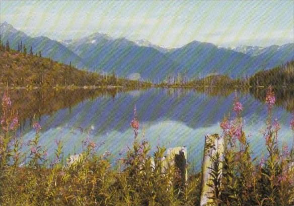 Canada Susan Lake Looking At The Selkirk Mountains At Golden British Columbia