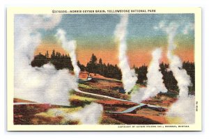 Norris Geyser Basin Yellowstone National Park Wyoming Postcard