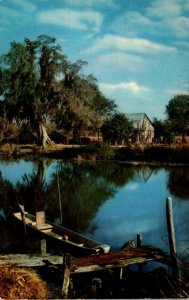 Mississippi Scene Along The Bayou