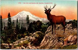 The Two Sentinels, Mt. Tacoma Washington c1909 Vintage Postcard N11