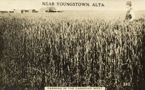 canada, YOUNGSTOWN, ALTA., Farming in the Canadian West (1915) RPPC Postcard (2)