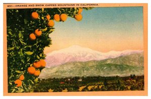 Postcard MOUNTAIN SCENE State Of California CA AU9968