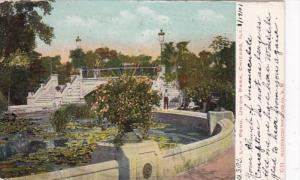 Illinois Chicago Lily Pond In Union Park 1907