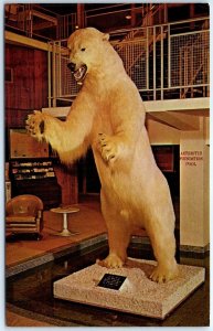 Postcard - White polar bear, Holiday Inn - Moline, Illinois