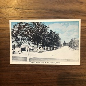 Michigan MI Chelsea M17 North Postcard Old Vintage Card View Standard Souvenir