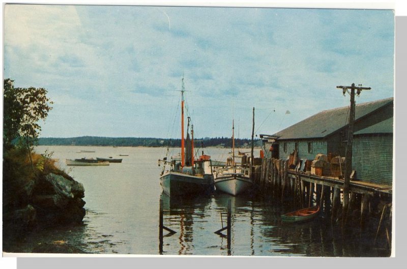 Beautiful Portland, Maine/ME Postcard, Fishing Boats/Harbor