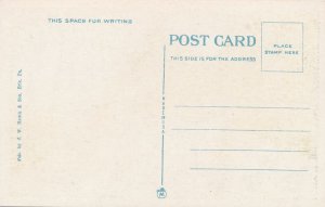 Erie PA, Pennsylvania - Old Car on State Driveway - Highway on Peninsula - WB