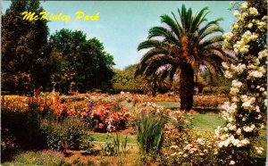 Postcard GARDEN SCENE Sacramento California CA AN7371