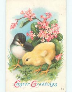 Pre-Linen easter RARE BLACK CHICK WITH YELLOW CHICK AND PINK FLOWERS W7087