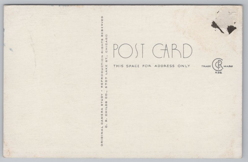 National-State Parks~White Pine Forest Park Illinois~Overhanging Rocks~c1910 Pc