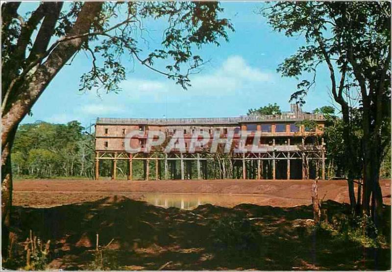 CPM Treetops Nyeri Kenya 