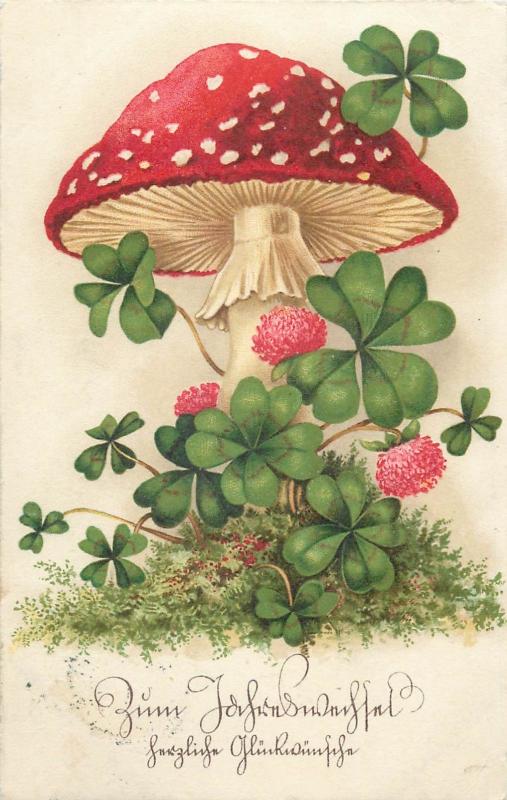 Red mushroom fantasy luck shamrocks greetings postcard