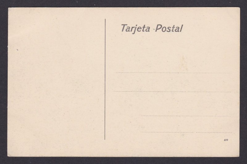 CHILE, Postcard, Rahue River, Rio Rahue, Landscape