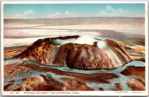 Spanish Geyser Yellowstone National Park Wyoming WY Scenic Attraction Postcard