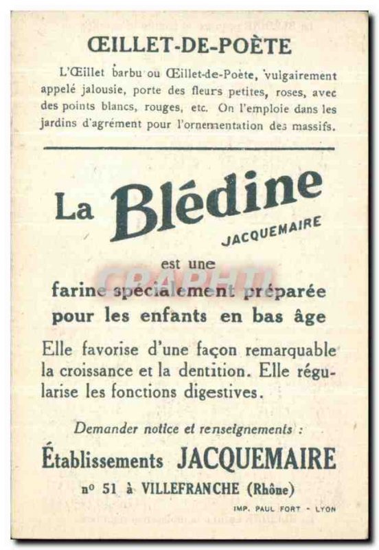 Chromo Bledine Carnations poet