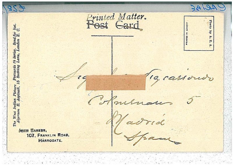 VINTAGE POSTCARD: commonwealth WEST INDIES - ST KITTS 