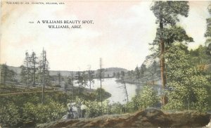 Postcard Arizona Williams Beauty Spot 1911 Johnston Teich 23-776