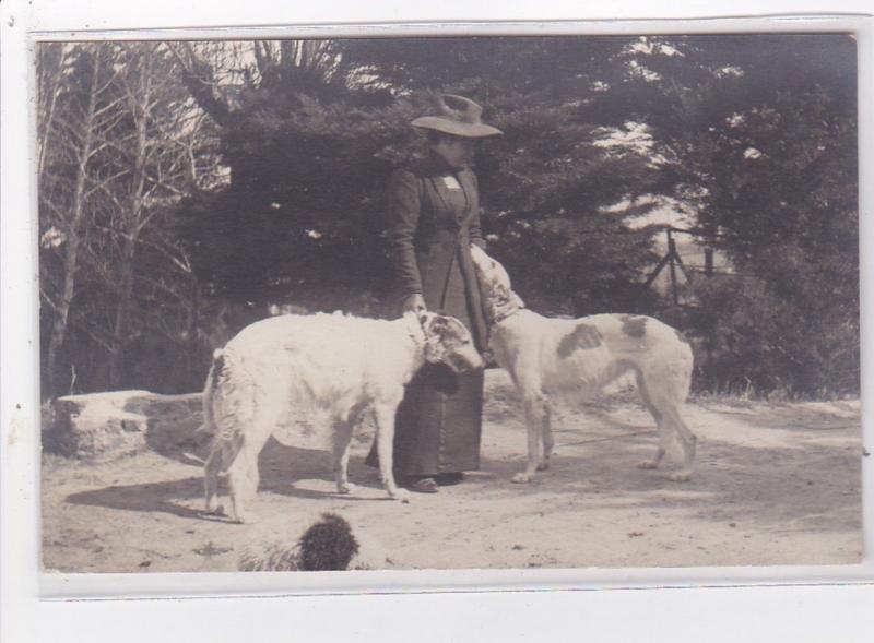 St-CYPRIEN : carte photo chenil du domaine des capeillans dressage chiens dom...