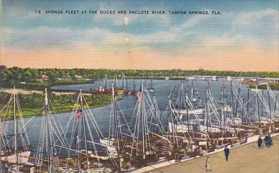 Florida Tarpon Springs Sponge Fleet At The Docks And Anclote River