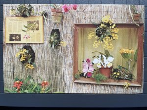 Orchid Jungle, Homestead, Florida