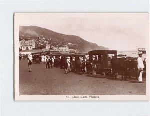 Postcard Oxen Carts Madeira Portugal