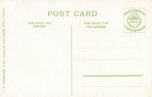 LP55  Cheyenne  Wyoming  Postcard  State Capitol