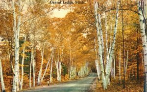 Vintage Postcard Grand Ledge Autumn View Leaves Michigan MI Tichnor Bros Pub.