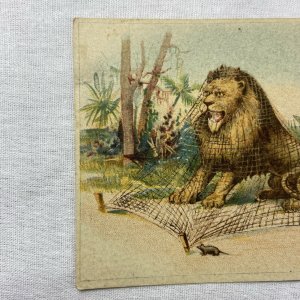 The Lion and The Mouse Wheeler & Wilson Sewing Machines Victorian Trade Card 