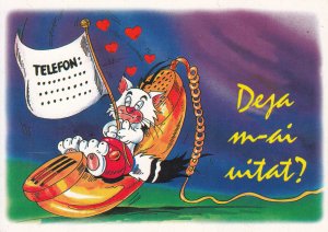 Lot of 3 continental size Valentine`s Day greetings postcards Romania comic cats