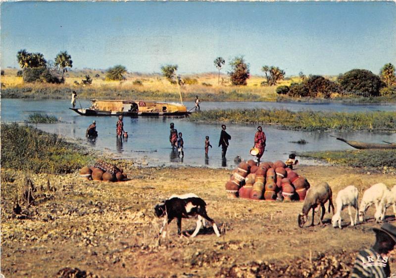 B91393 a creek in nigeria goat types folklore africa