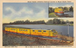 Mount Gayler Lakeshore Railroad, Misc. Unused 