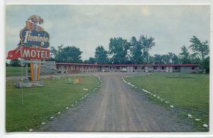 Flamingo Motel Cornwall Ontario Canada postcard