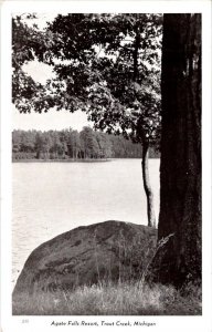 Trout Creek, MI Michigan AGATE FALLS RESORT Roadside ADVERTISING Chrome Postcard