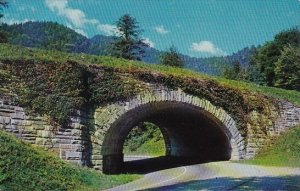 Tennessee Smoky Mountain The Loop Underpass