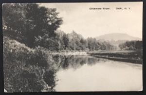 Delaware River Delhi NY 1922 Merill & Humphries The Albertype Co