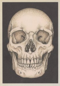 Adult Glaring Skull Morbid Horror Skeleton Postcard