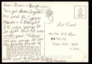 World Famous Budweiser Clydesdales at Busch Gardens