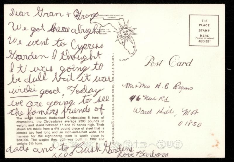 World Famous Budweiser Clydesdales at Busch Gardens