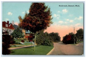 1911 View Of Boulevard Sidewalk Street Trees Scene Detroit Michigan MI Postcard 