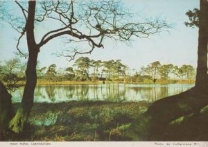 High Pond River Lake Lartington Durham Rare Womens Institute Photo Postcard