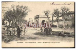 Postcard Old Avignon Allees of Oulle Exercises Army Recruits