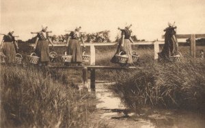 Zeeland Fisher Women Going to Market North Braben Holland Postcard