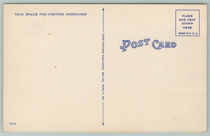 Cassville Missouri~Roaring River Valley Lower Lake~1940s Linen Postcard