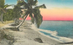 1920s Sunny Scenes Tropical Shoreline hand colored #283M Postcard 22-5762