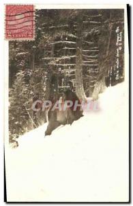 Old Postcard Hunting hounds has Olympic Mountains