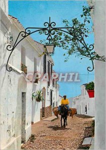 Modern Postcard Mijas Costa Del Sol Street Typical Donkey Donkey