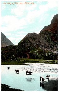 Ireland Killarney  Bay of Dunloe