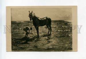 527942 NUDE Young Man Washing HORSE by SEROV Vintage postcard